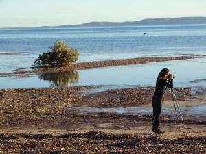 Moonrise, just south of Port Augusta, SA