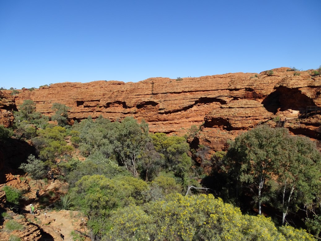 kings canyon1