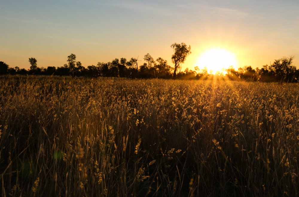 Kimberley Sunset (1 of 1)