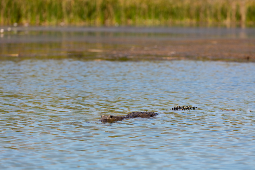 Kununurra Blog (11 of 21)