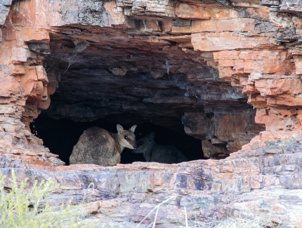 Kununurra Blog (19 of 21)