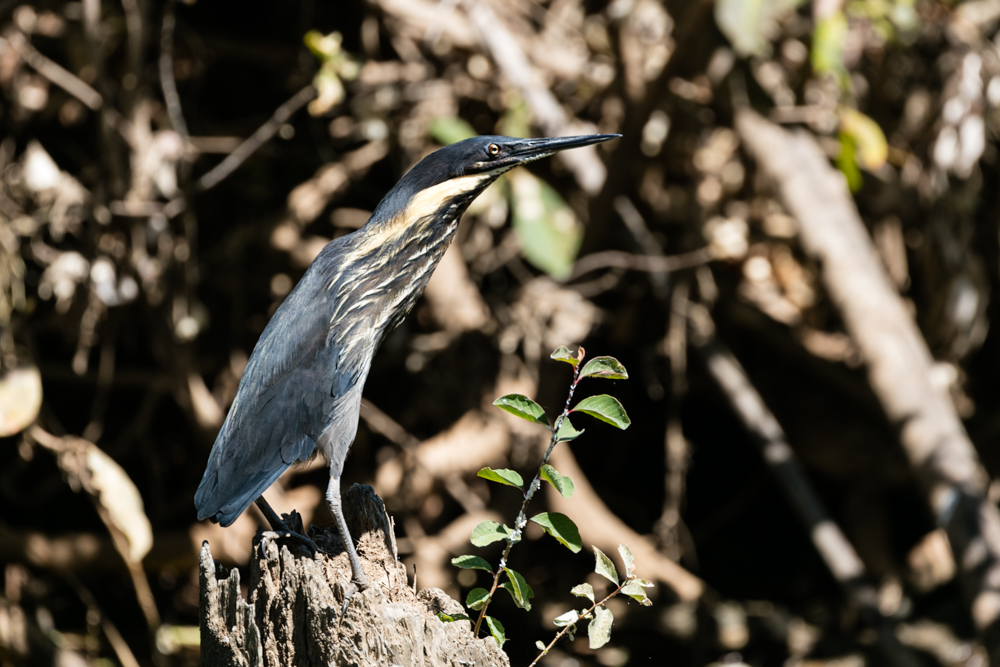 Kununurra Blog (5 of 21)
