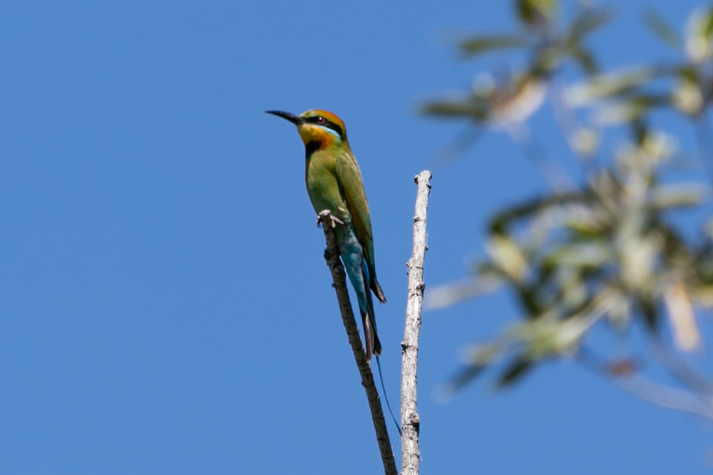 Kununurra Blog (7 of 21)