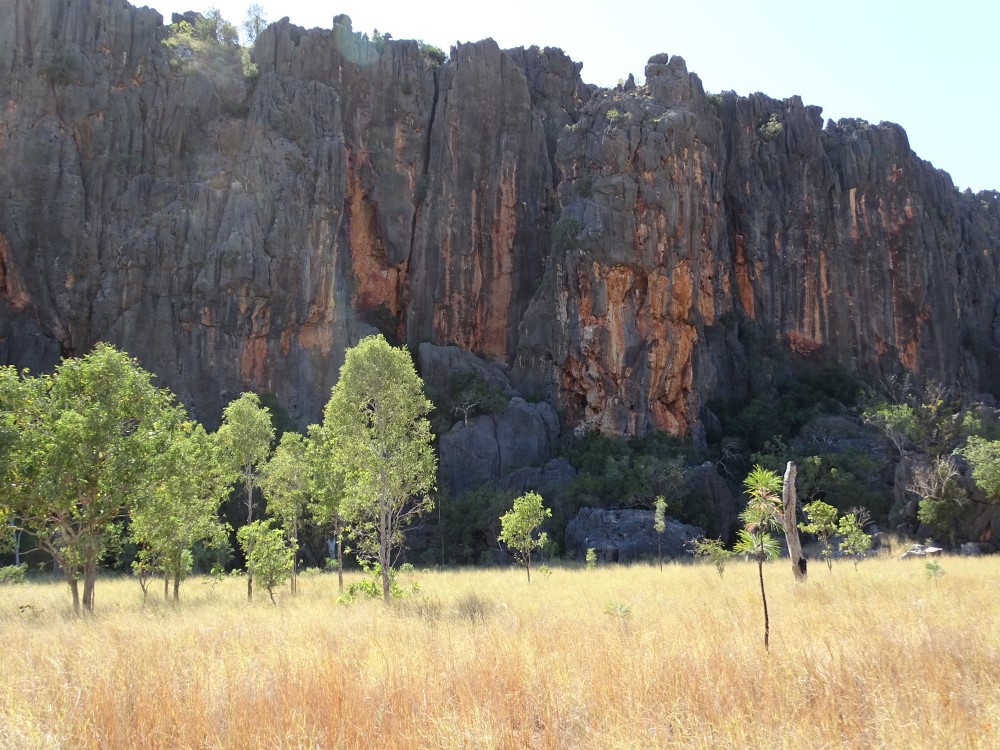 Reading or Windjana Gorge