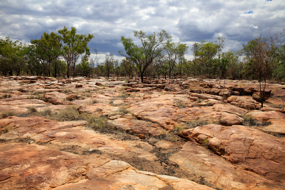 Windjina Blog (12 of 17)