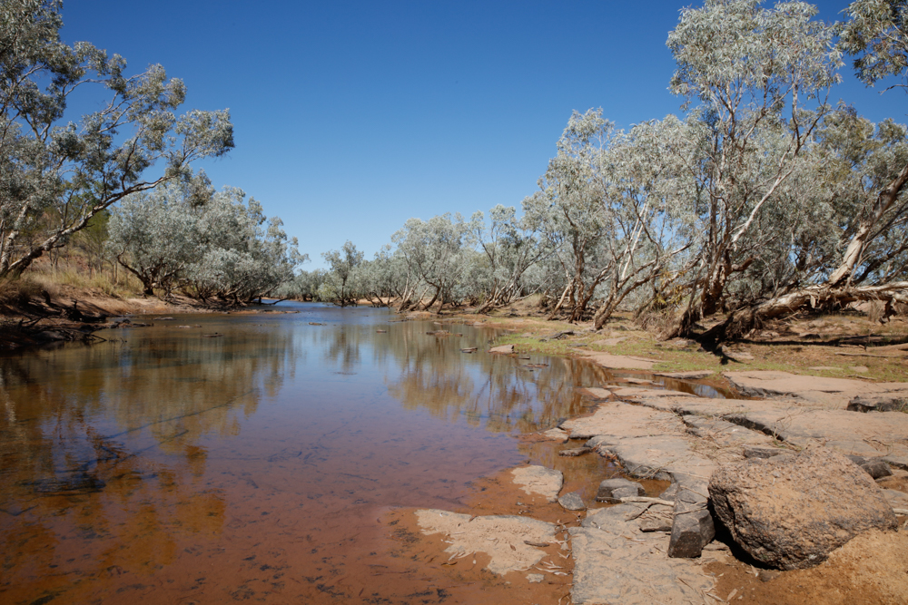 Windjina Blog (15 of 17)