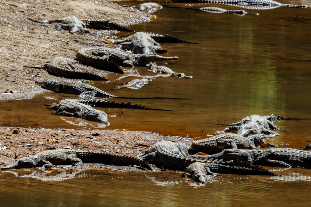 Windjina Blog (4 of 17)