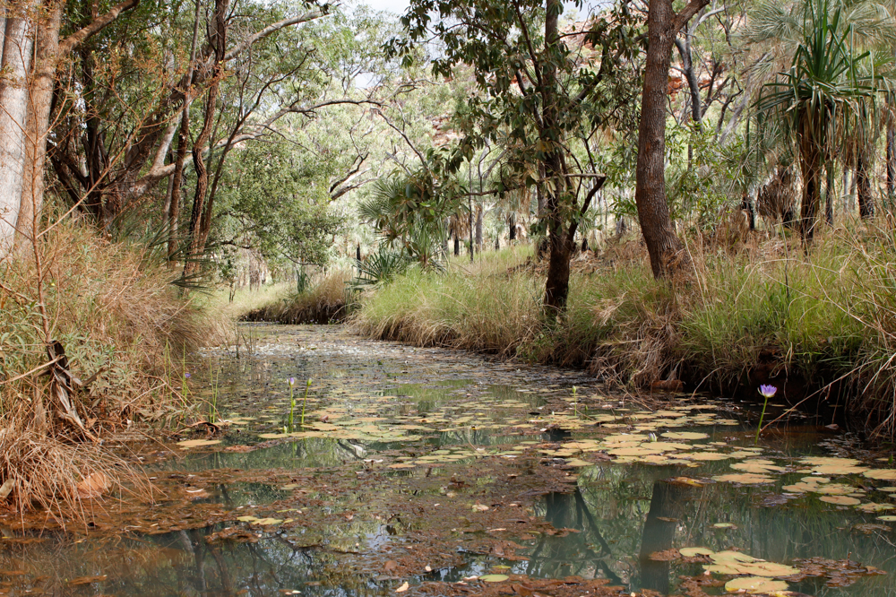 Windjina Blog (7 of 17)